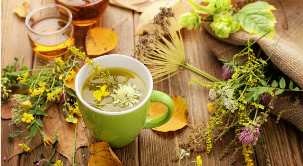 des plantes en infusion dans une tisane