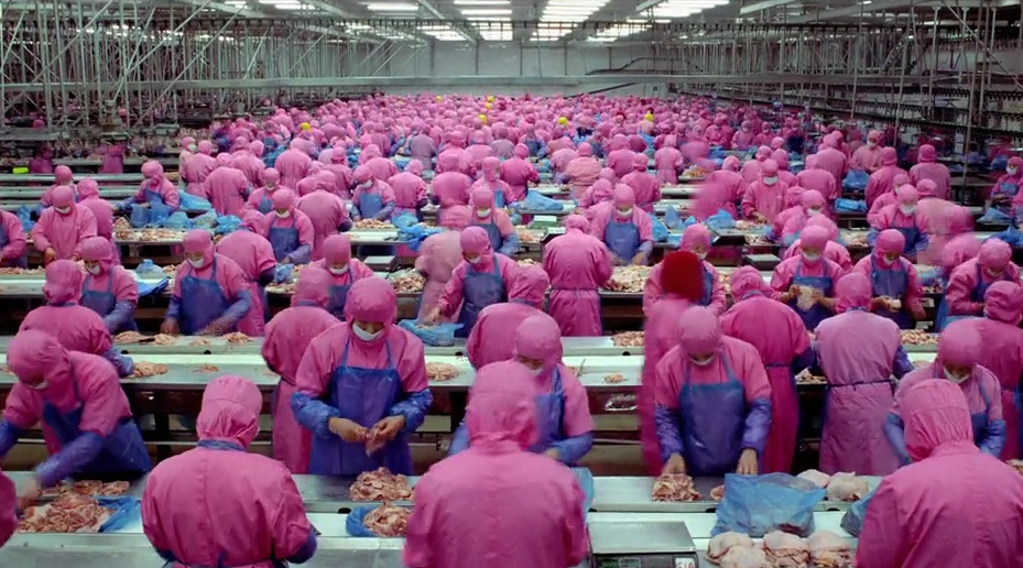 Photo intérieur d'une gigantesque usine d'abattage