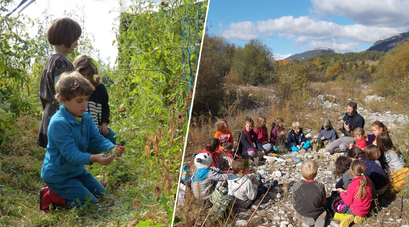 des enfants apprenent la nature à l'école