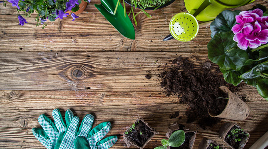 Les bienfaits insoupçonnés du jardinage sur la santé