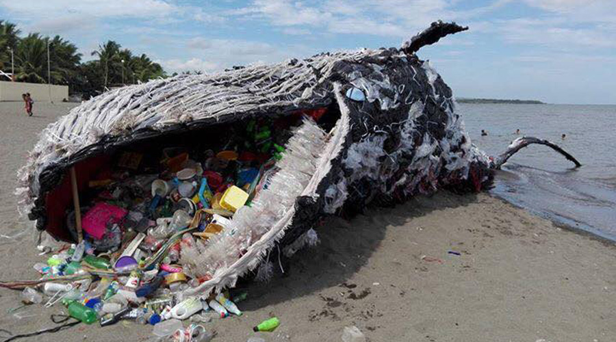 Baleine déchet sur une plage des Philippines