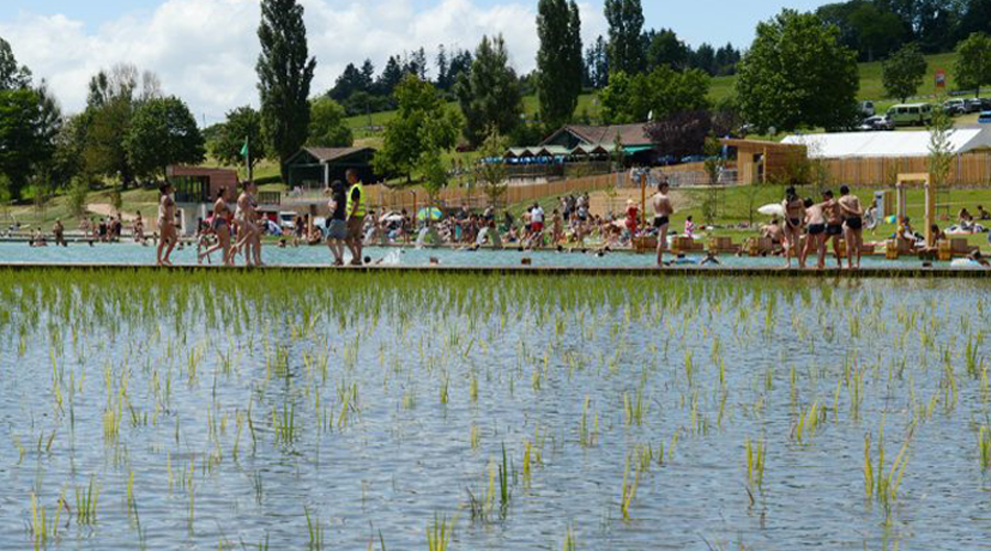 La Belgique ouvre les portes de sa première piscine municipale bio