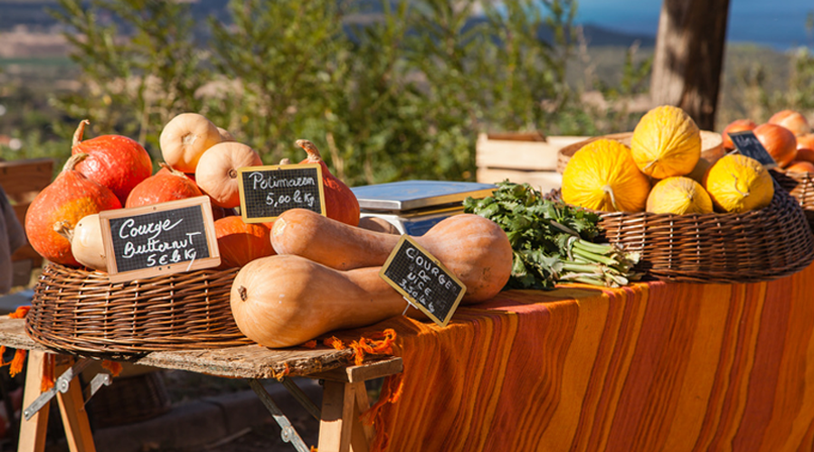 En Corse, ce village survit grâce à la permaculture