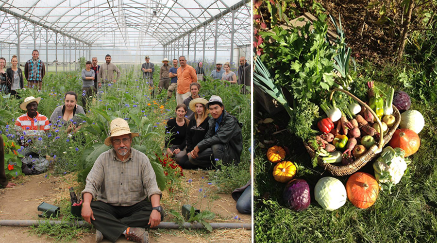 “Il ne faut pas changer l’agriculture, il faut changer le monde”, Jean-Guy Henckel