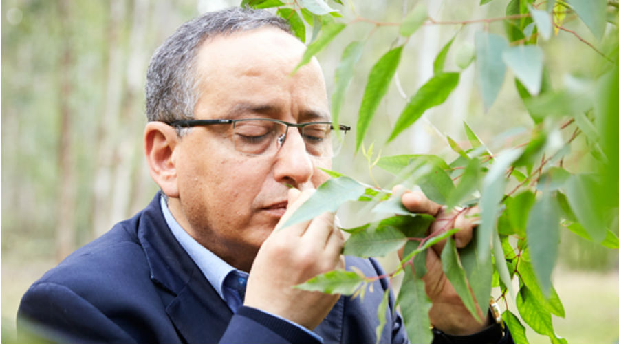 Ce chercheur marocain met au point un antibiotique aux huiles essentielles