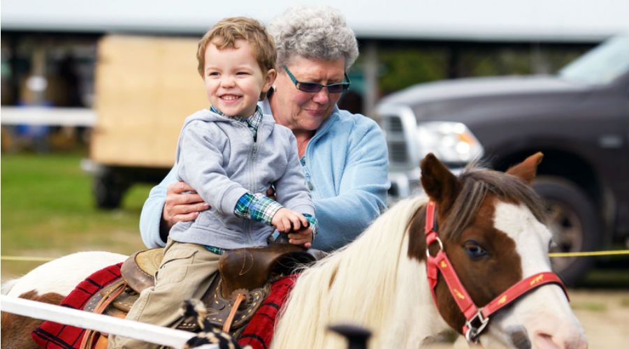 Les manèges à poney bientôt interdits en région bruxelloise