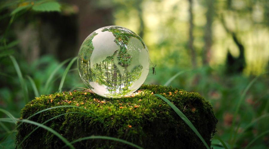 Jour de dépassement de la Terre