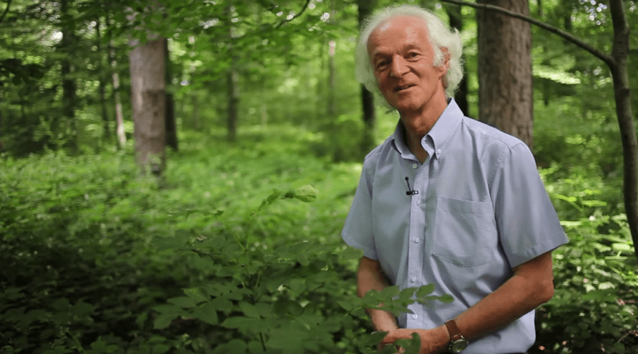 Cet ingénieur forestier nous révèle les secrets des arbres