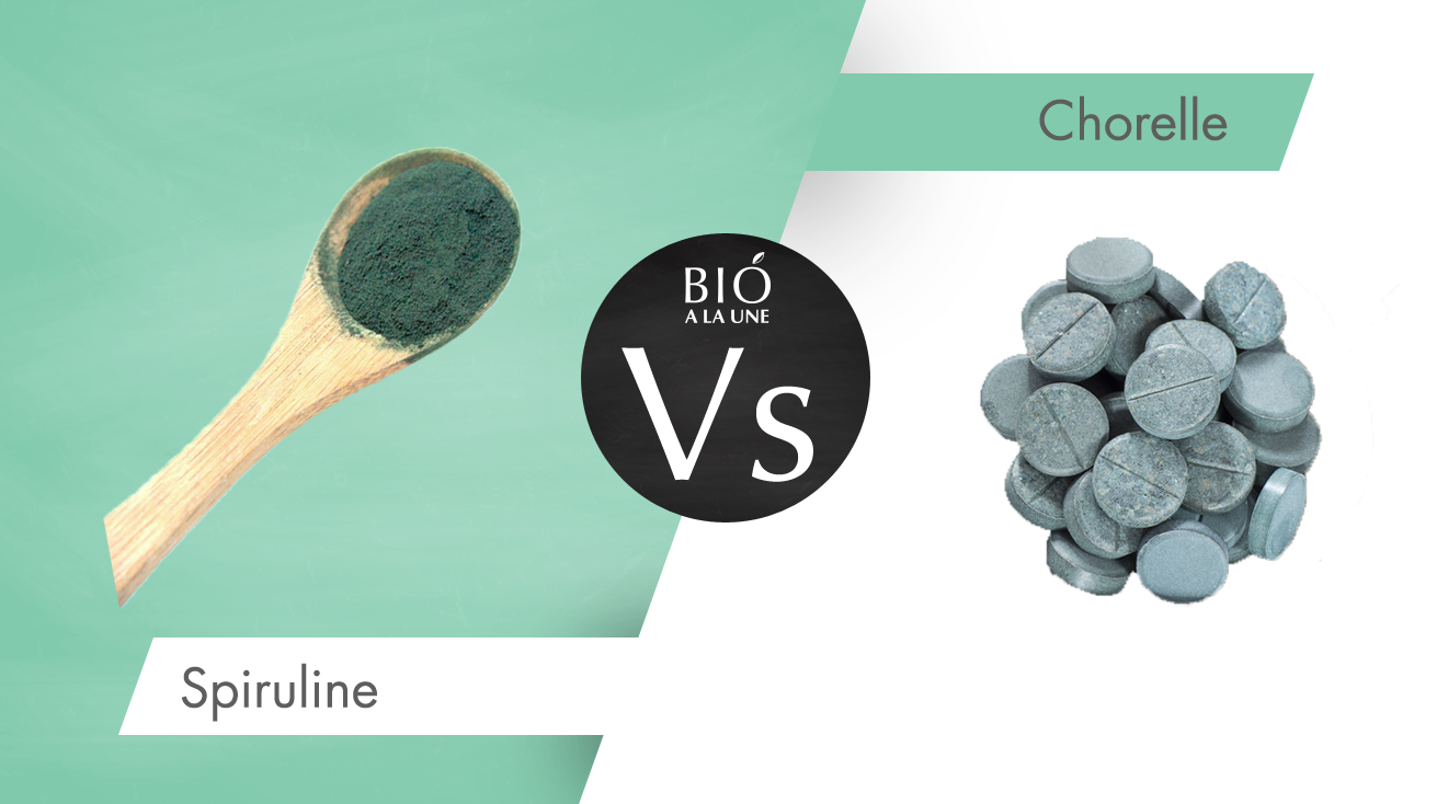 Spiruline ou chlorelle : quelles différences ?