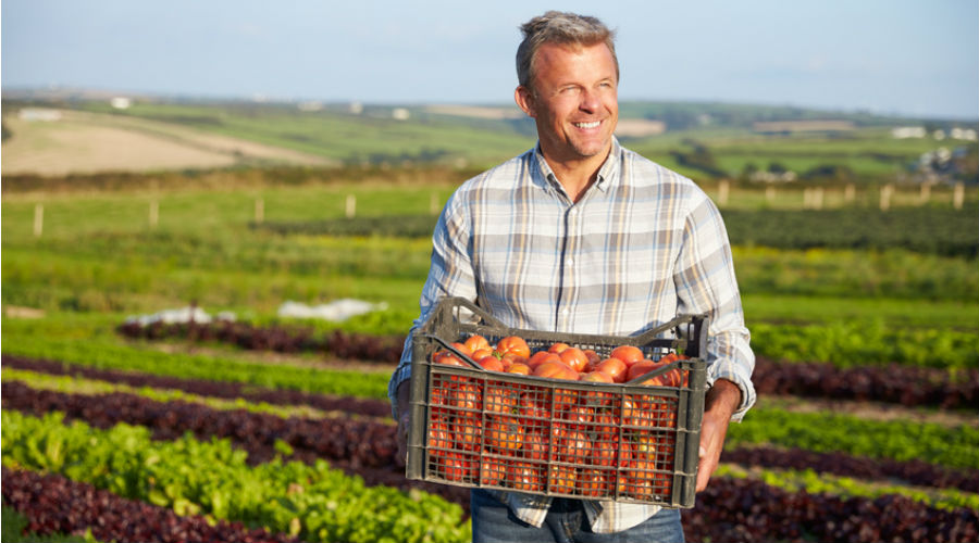 Bienvenue à la ferme : Une carte interactive pour acheter directement chez le producteur