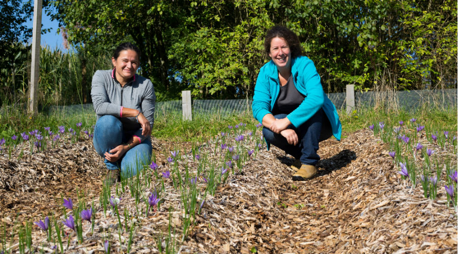 Ces femmes ont tout quitté leur vie pour lancer leur micro-ferme en Normandie