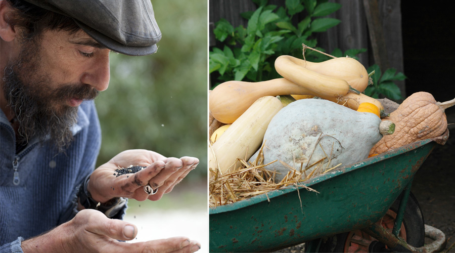 Permaculture : “Ceux qui sont prêts, n’attendez pas !”