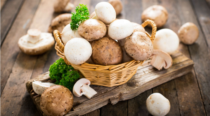 Découvrez les secrets des champignons, réels alliés santé | Bio à la une