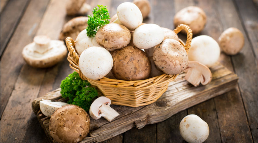 Découvrez les secrets des champignons ; réels alliés pour la santé