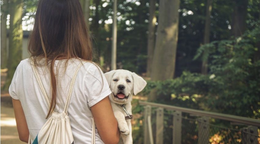 Adopter un chien permettrait de vivre plus longtemps