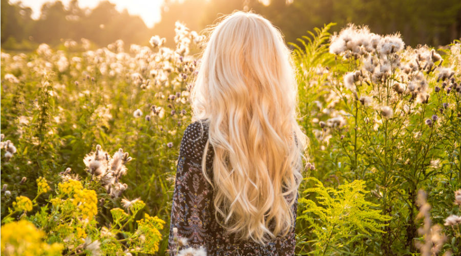 Cinq huiles essentielles pour prendre soin de vos cheveux