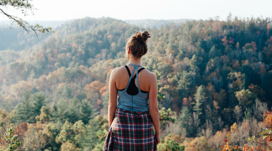 Shinrin-yoku :  le bain de forêt comme thérapie anti-stress