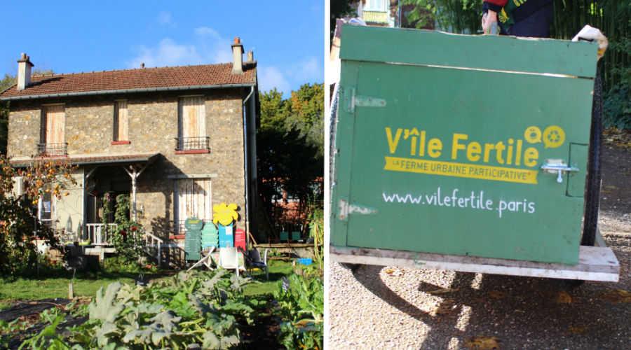 V'Île Fertile, la ferme urbaine qui nous reconnecte à la nature