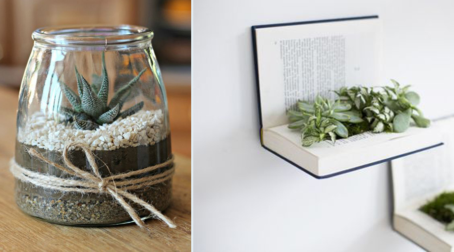 DIY : 10 idées de créations originales pour vos succulentes et plantes grasses