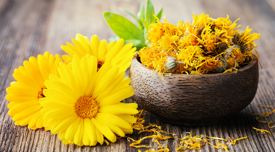 Plusieurs fleurs calendula officinalis posées sur une table