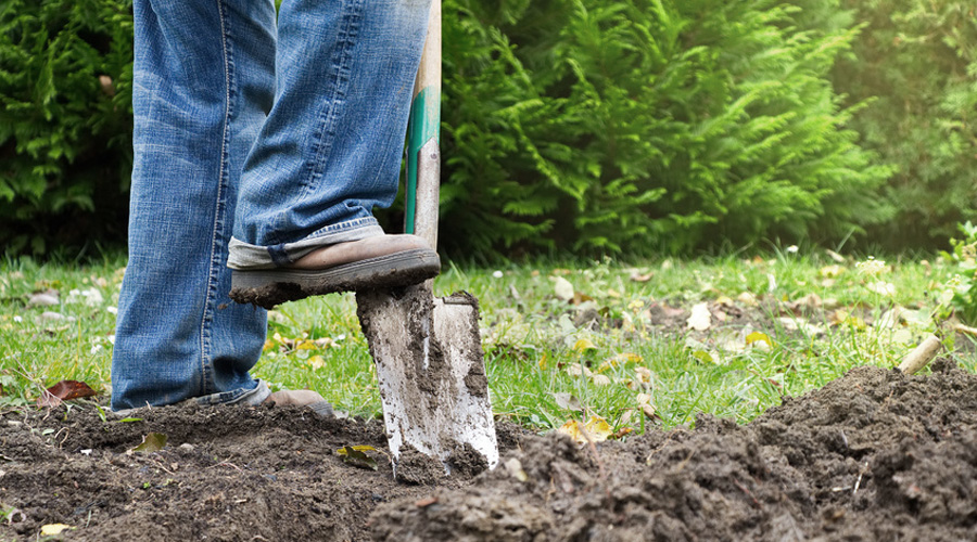 Un paysan bêche son potager à la campagne