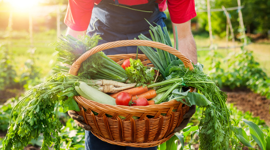 agriculture bio