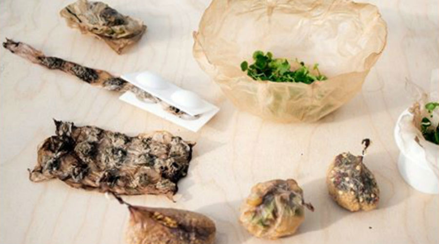 Scoby : le nouvel emballage qui pousse en même temps que le légume !