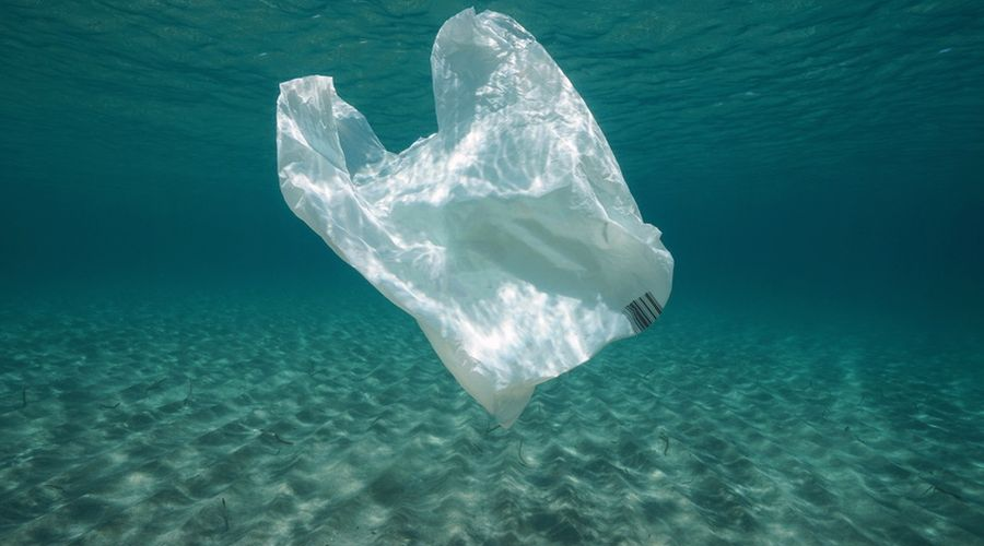 sac plastique mer pollution