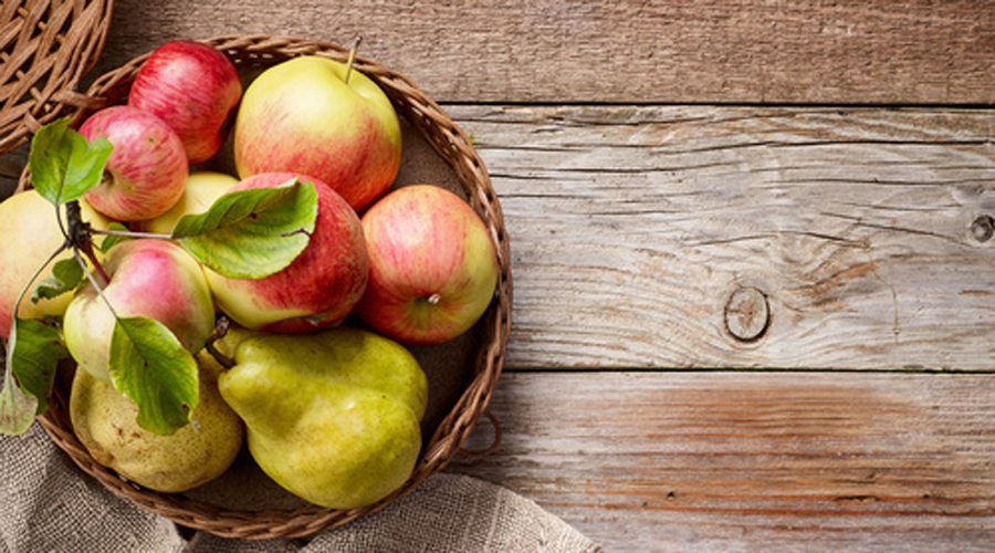 fruits et légumes rentrée