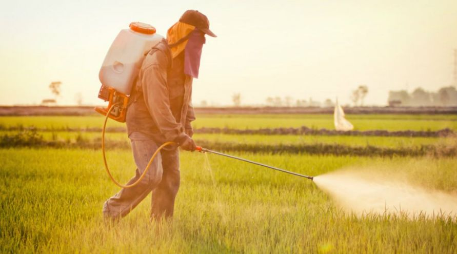 Homme qui pulvérise des champs avec du glyphosate