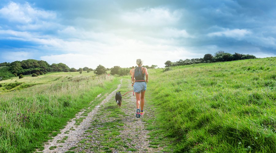 canicross, courir avec son chien