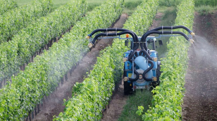 Agriculture bio : l'UE prolonge l'autorisation du cuivre malgré les risques