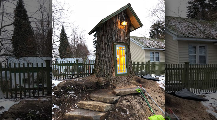 Cet arbre mort est transformé en magnifique bibliothèque gratuite