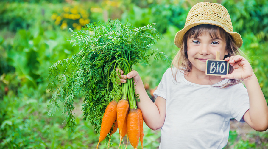 alimentation bio