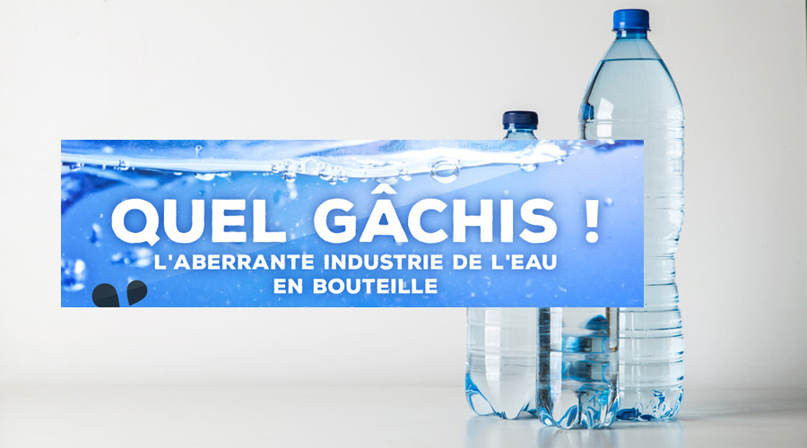 Toute l’absurdité de l’eau en bouteille plastique dans une infographie