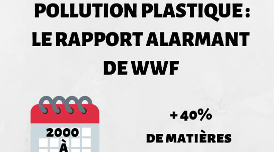 La pollution plastique se fait de plus en plus importante.