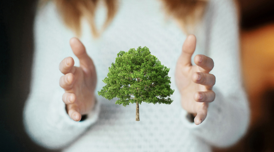 L'écologie, nouveau terrain de lutte des femmes.