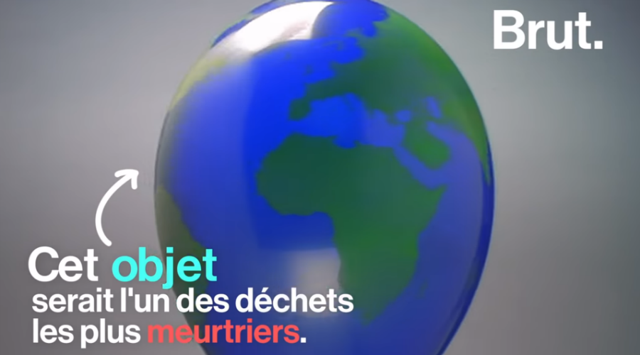 Les ballons de baudruche, véritables dangers pour l'environnement (Vidéo)