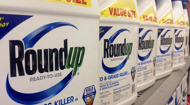 Le Roundup est l'herbicide à base de glyphosate, commercialisé par Monsanto.