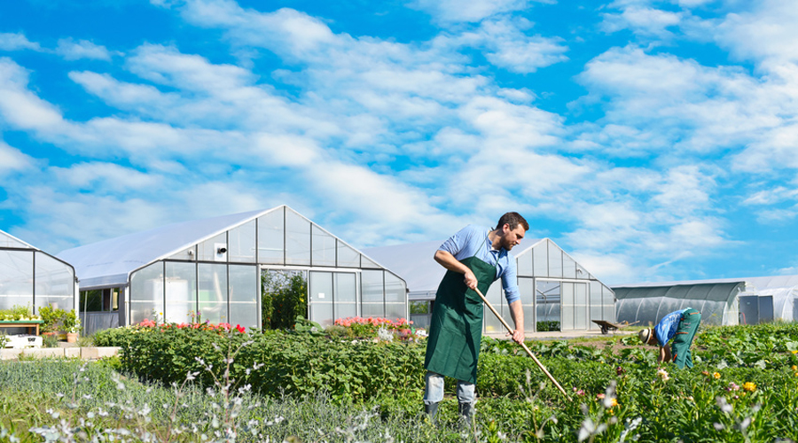 Les agriculteurs bio enfin payés !