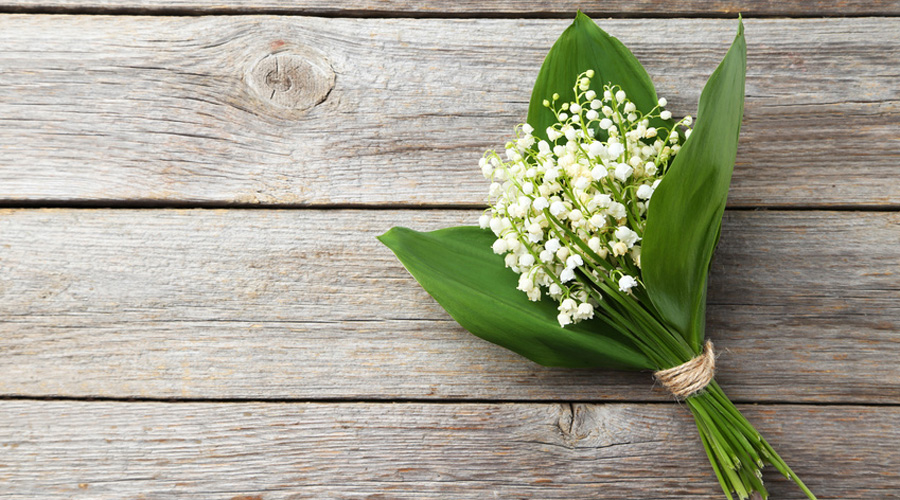 muguet