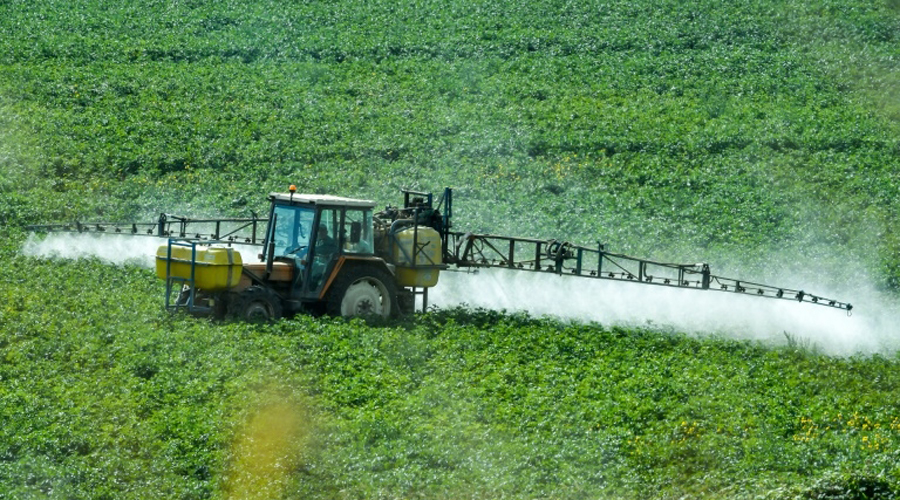 glyphosate