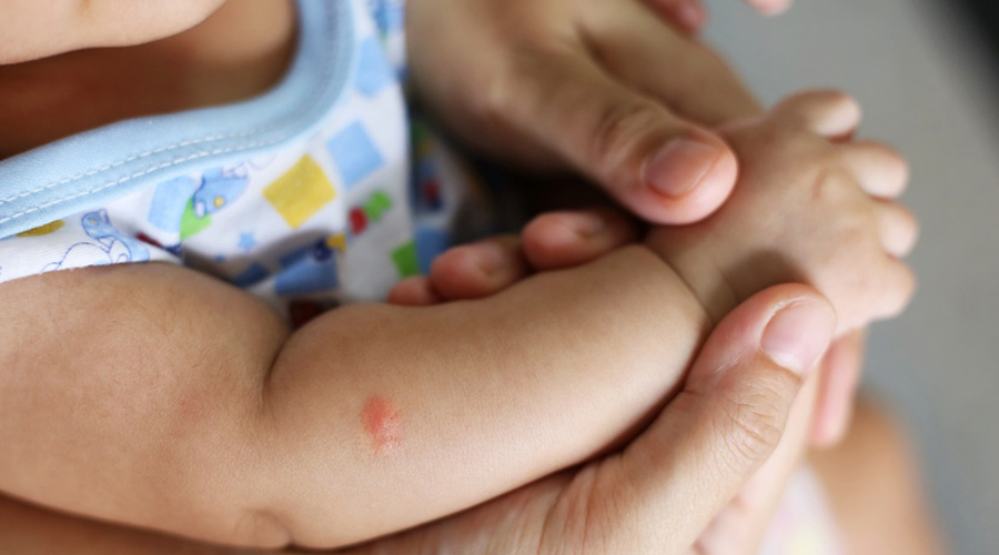 Protéger bébé des moustiques