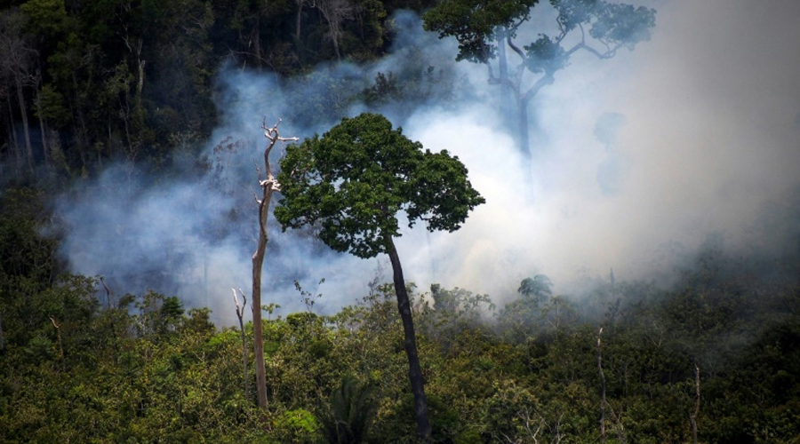 amazonie incendies