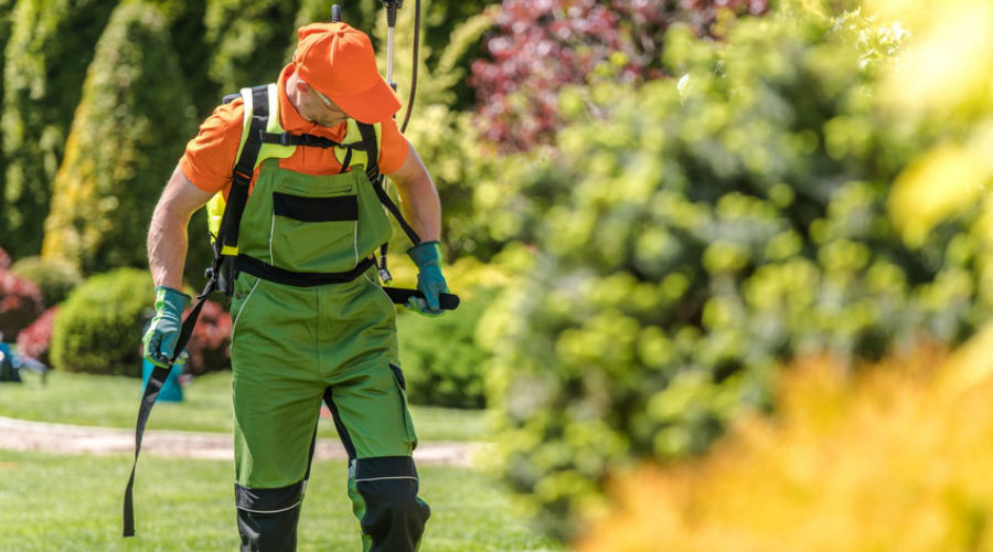 Les arrêtés anti-pesticides se succèdent en France : les villes concernées