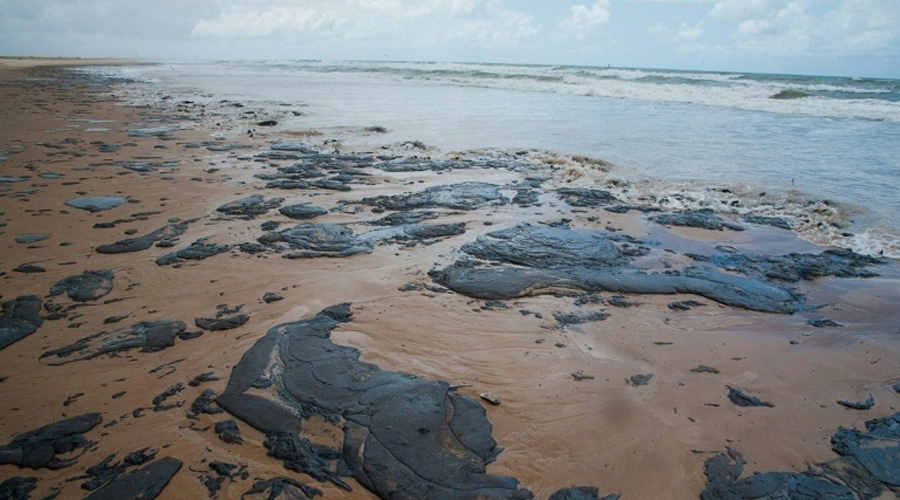 Mystérieuses marées noires au Brésil : un désastre 
