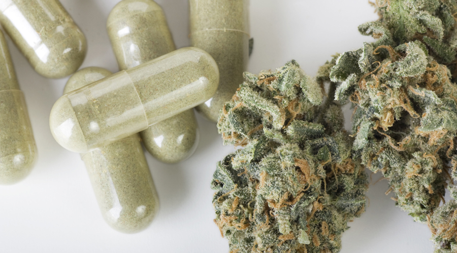 Expérimentation du cannabis thérapeutique : feu vert de l'Assemblée