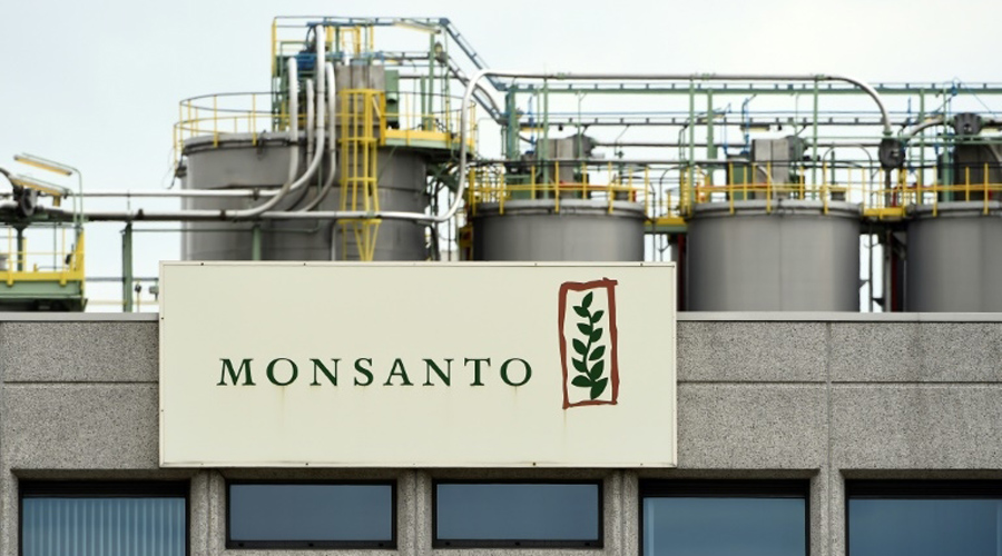 Monsanto plaide coupable d'avoir répandu un pesticide interdit à Hawaï