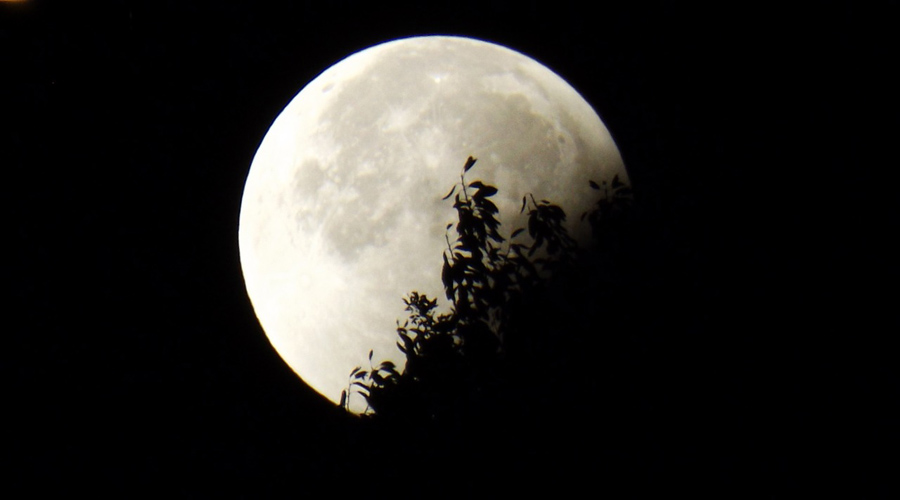 L’éclipse de lune à observer ce soir