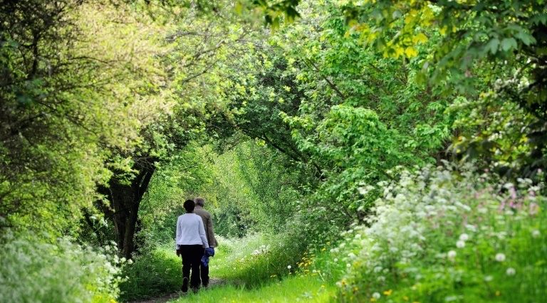 Promeneurs en forêt